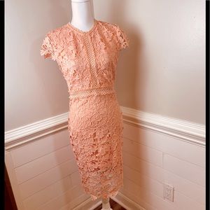 JodiFL Los Angeles Peachy Pink Gorgeous Lace Dress M FREE SHIP